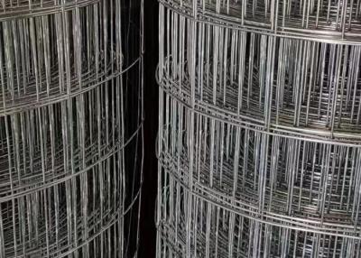 Κίνα Σταθερή εύκολη εγκατάσταση Gridwall συγκολλημένα πλέγματα από υφαντικό σύρμα σε εφαρμογές γύψου προς πώληση