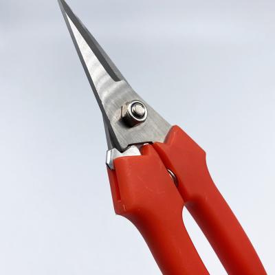 China Anti-skid Handle Garden Grape Scissors Fruit Shear Shears Agriculture Tree Cutting Garden Scissors for sale