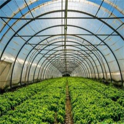 China Capa do filme Estufas agrícolas de camada única para agricultura sustentável à venda