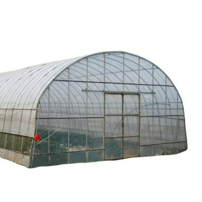 China Estufas agrícolas de uma única faixa com cobertura de filme O ambiente perfeito de crescimento à venda