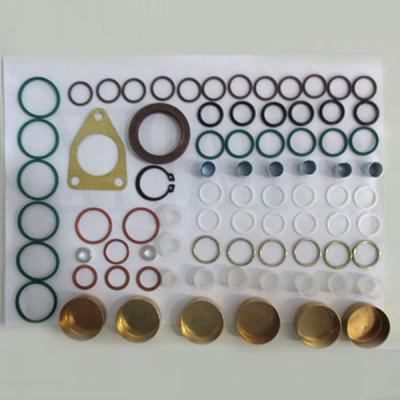 China 2417010021 1308859 5001834695 Koleos Diesel VE Injection Pump Repair Kit for sale