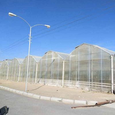 China 10x12 6x4 4x2 Pc-blad Grote polycarbonaat kasgroei Tomaten Komkommergroei Systeem Te koop