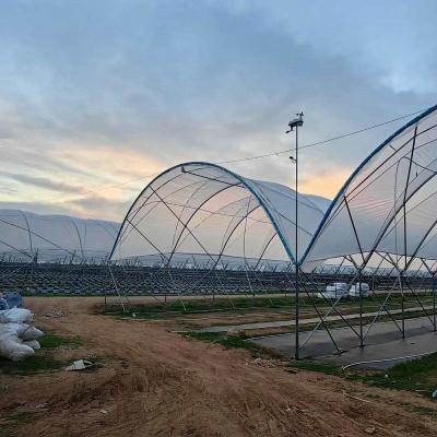 中国 ブルーベリー ストロベリー 栽培 マルチ スパン トンネル フィルム 温室 植え付け 用 スキャッティング フィルム 販売のため