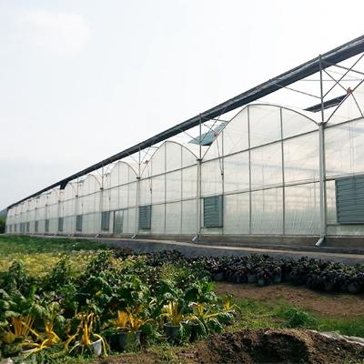 中国 マルチスペンフィルム 温室構造 商業用枠 大型植物 栽培 販売のため