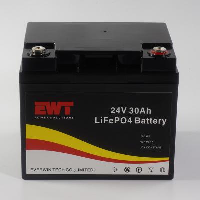 China Industrial 24V Lithium Iron Phosphate Battery with 30A Maximum Continuous Discharge Current -20°C To 45°C and CE Certification for sale