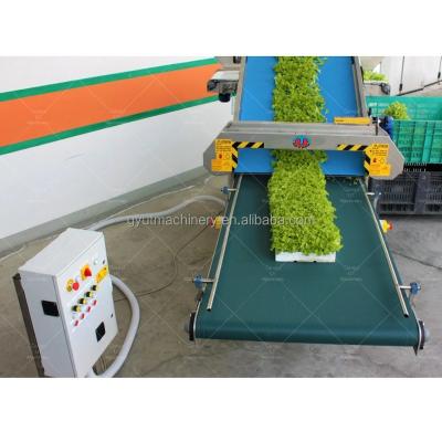 China Microcorteira Verde Recolhedora de Folhas Bebê à venda