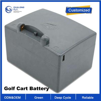 중국 OEM ODM LiFePO4 리?? 배터리 팩 골프 카트 EV lifepo4 배터리 골프 카트 클럽 자동차 48v 100ah 200ah 배터리 판매용