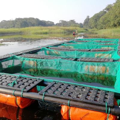 Chine Qihang HPDE aquaculture farming equipment floating net cage for sea cucumber à vendre