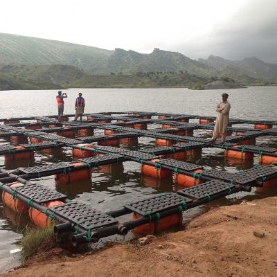 Chine 2022 aquaculture traps fish cage floating Leisure Cage fish farming equipment à vendre