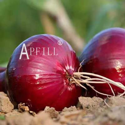 China Factory Manufacturer New Yunnan Harvest Onion Fresh Onion 10kg Fresh Supply Best Quality In One Carton MOQ is 10 tons for sale