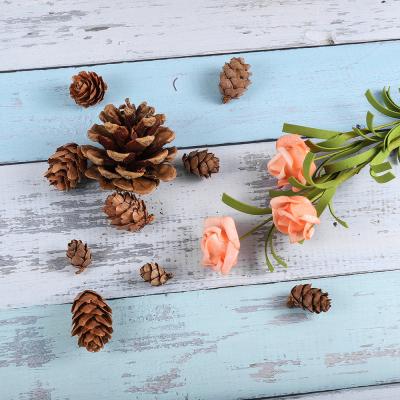 China Natural Classic 3 Size Pine Cone Bauble For Epoxy Resin Pendant Mold Decor Craft DIY Necklace Filling Jewelry Making Component Wholesale for sale