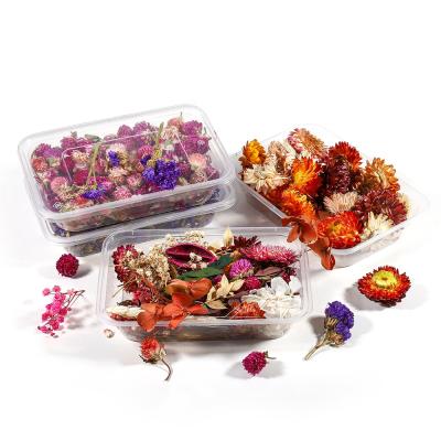 China 1Box Eco-friendly Crystal Epoxy Filler Dry Flower Mixed Nail Stickers Decorations Resin Filling Crafts Art Jewelry Making DIY for sale