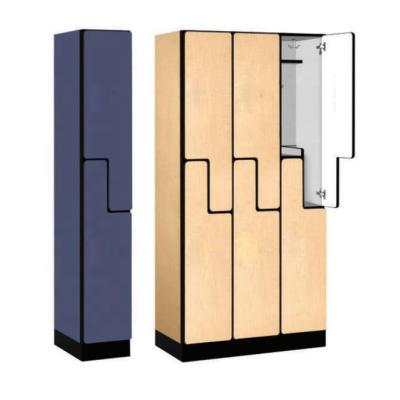 China Colorful Precious Smart Lab etc Locker Compact Spa Locker for sale