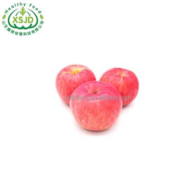 China Fuji Apple bright color of excellent fresh quality Fresh Red Apple Pome Fruit 100% Natural for sale
