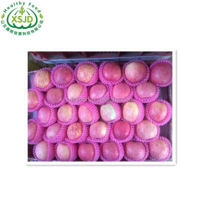 China Starking's Finest Fresh Premium Quality Red Delicious Apples Fresh Red Apple Pome Fruit 100% Natural for sale