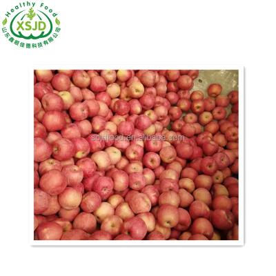 China Fresh apple fruit fresh red delicious apples Fresh Red Apple Pome Fruit 100% Natural for sale