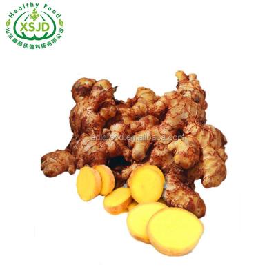 China High Quality Fresh Wholesale Organic Fresh Ginger Cheap Price Chinese Fresh Ginger Organic Fresh Ginger for sale