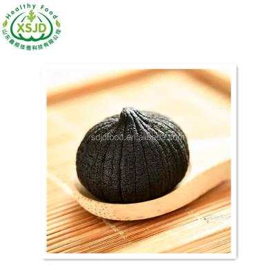China Health fresh natural food black garlic Fresh Black Garlic Liliaceous Vegetabless for sale