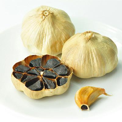 China 100% Pure Natural Black Powder Fresh Garlic Extract Fresh Black Garlic Liliaceous Vegetabless for sale