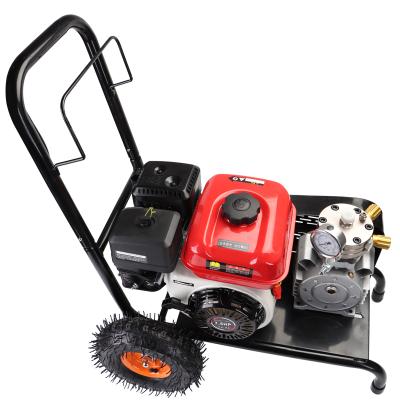 China Building Material Stores New High Pressure Airless Diaphragm Portable Gasoline Powered Sprayer for sale