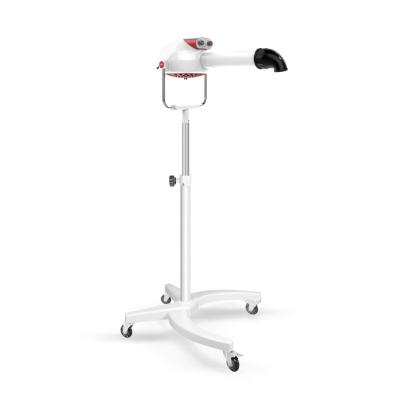 China Sustainable High Speed Dog Pet Grooming Dryer w/Variable Air Speed & Heat for sale