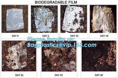 Cina Il pannolino eliminabile del bambino del Facile-legame licenzia le borse, borse biodegradabili del pannolino di 100% con il profumo della polvere di bambino, il bagplastics, bagease in vendita