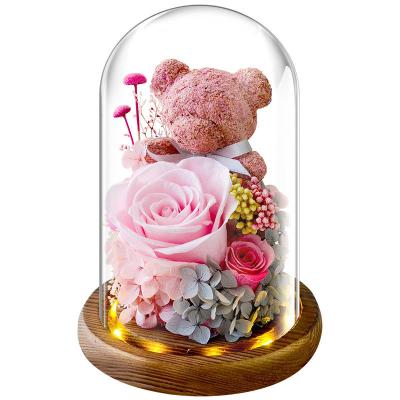 China Immortal Moss Bear Gift Box Set Dome for Women Wife Girls Christmas Valentines Day Anniversary for sale