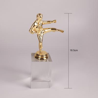 China Health Care Institute MH-NJ00666 Wholesale 3D Metal Sports Taekwondo Player Trophy Awards Transparent Base Taekwondo Crystal Trophies for sale