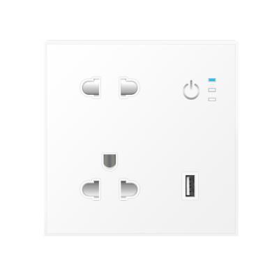 Cina Smart Home astuto a prova di fuoco di Alexa Tuya Wall Socket Security della spina 13A del PC in vendita