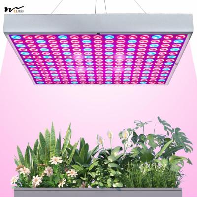 中国 成長ライトルーム 75W LED 植物成長ランプ 225 LEDs UV IR 赤 青 全スペクトル電球パネル 販売のため