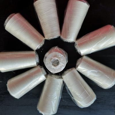 China Abrasion-resistant 20/22D 100% raw silk thread for machine and hand sewing work for sale