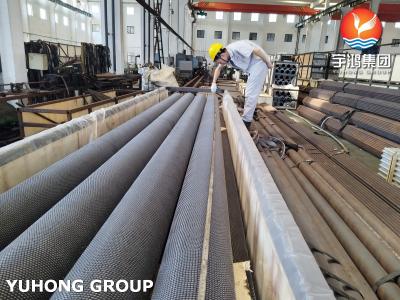China Aço inoxidável, tubo de barbatana dentada HFW, ASTM A312 TP304H com barbatana SS304, para bobina de convecção à venda