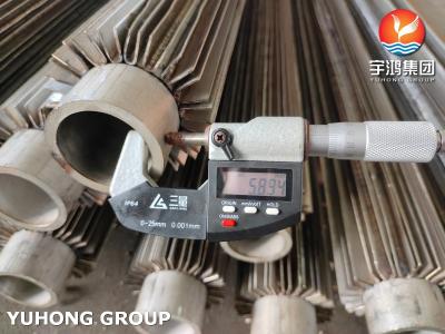 China Welded Longitudinal Finned Tubes ASTM A312 TP316L For Oil Refining Projects for sale