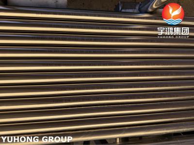 중국 ASTM A312 TP310S 무선 스테인레스 스틸 열 교환 튜브 우수한 고온 부식 저항성 판매용
