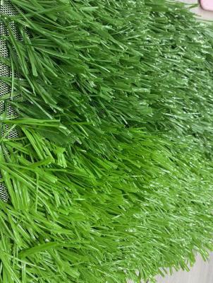 China 50mm Garden Landscape Football Volleyball Court Artificial Turf Green Carpet Outdoor Artificial Grass Easy Installation for sale