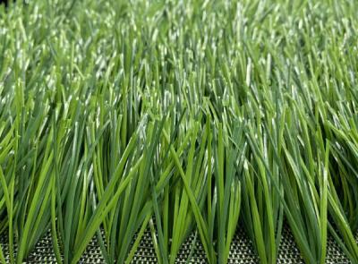 China Wear Resistant Outdoor Pet Friendly Artificial Grass Football Field Plastic Green for sale