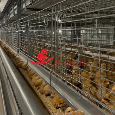 China Enriched 3-Tier Poultry Cage System Stable Baby Chick Cage for sale