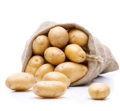 China China Fresh Natural High Quality Organic Potatoes for sale