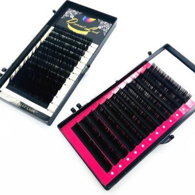 China Soft Natural Own Brand Matte Ellipse Flat Eyelash Extension Individual Korean Silk for sale