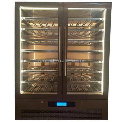 China Hotel Wine and Beverage Cooler, Wine Fridge Cellar Compressor Stainless Steel Wine Fridge, Wine Cooler Rack for sale