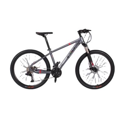 China Racing Bike Aluminum Mountain Bike 12 Speed Mtb Bike for sale