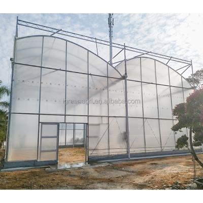 China Multispan kas met top ventilatie en aangepaste lengte film oppervlak van IGreen Te koop