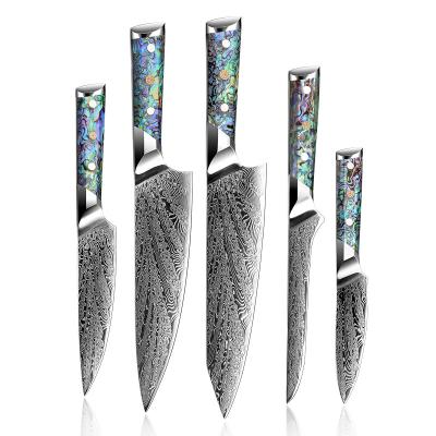 China 5 Pcs Disposable High Quality Kitchen Knife Set Japanese Damascus Steel Chef Knife Set For Kitchen for sale
