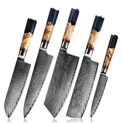 China Professional Disposable Damascus Kitchen Knife Set 67 Layers Solid Wood Chef Damascus Steel Handle 5pcs Knife Set for sale