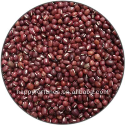 China Dried Adzuki Beans / Azuki Beans / Red Chouri Beans for sale