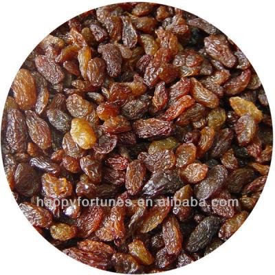China Brown Sultanine Raisins / Brown Raisins for sale