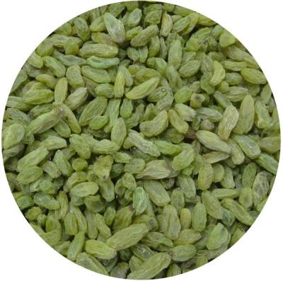 China GRAPES/Green Raisins/Green Sultanine Raisins for sale