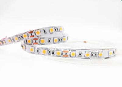 Cina Multi alta luminosità principale colore flessibile della striscia 5050 per la decorazione della mobilia in vendita