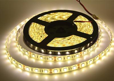 Cina Striscia calda di bianco SMD 5050 LED per flusso luminoso dell'interno del nastro domestico 12V alto in vendita