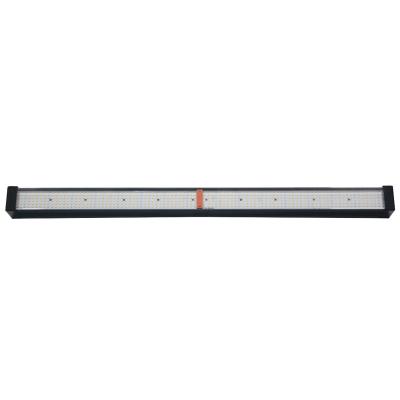 China Hot Selling 240w 300w Spectrum Remote Control Variable Seed Starting Led Grow Lights For Greenhouse Strawberry Farm for sale